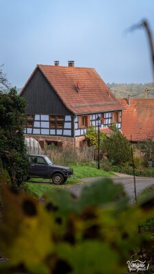 Tour du rocher du Graushlag - Mollkirch - Photo 7