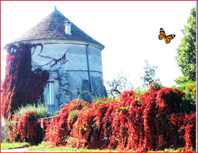 La tour, ancien pigeonnier de la ferme du château du 16éme Siècle.