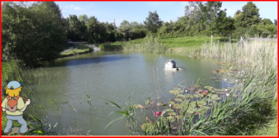Ancien abreuvoir et réserve d'eau de 500m3.
