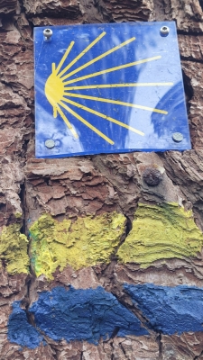Photo prise liée au parcours