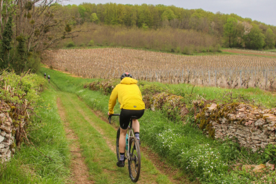 Sud Bourgogne 2025 -  Gravel 62 - Viré - Photo 5