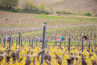 Sud Bourgogne 2025 -  Gravel 42 - Viré - Photo 5
