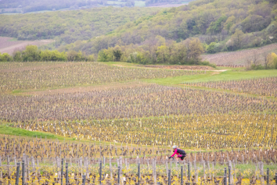 Sud Bourgogne 2025 -  Gravel 42 - Viré - Photo 6
