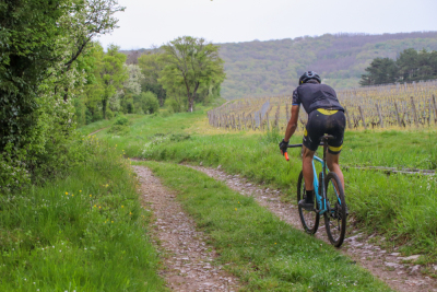 Sud Bourgogne 2025 -  Gravel 42 - Viré - Photo 8