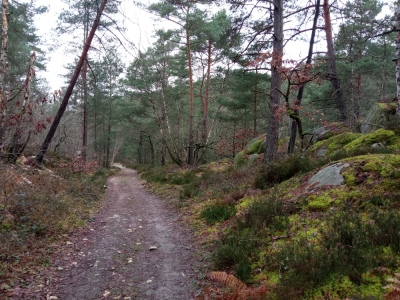 Photo prise liée au parcours