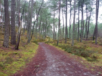 Photo prise liée au parcours