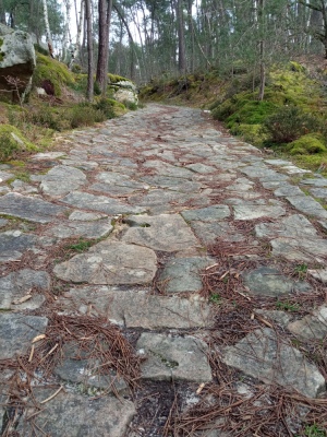Photo prise liée au parcours