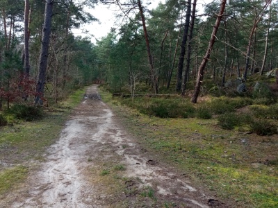 Photo prise liée au parcours