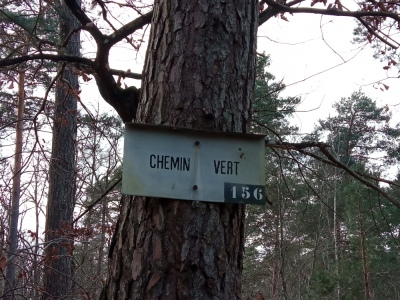 Photo prise liée au parcours