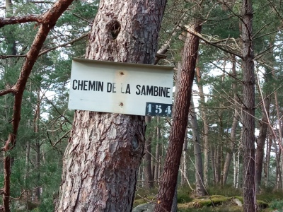 Photo prise liée au parcours