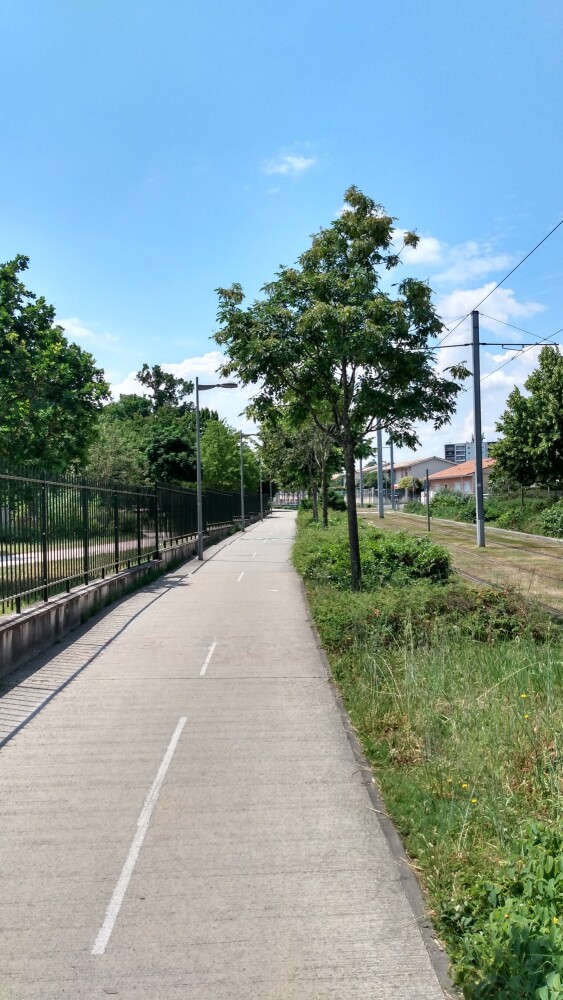 La piste cyclable de l'itinéraire de la "Scandibérique", près du parc de Mussonville à Bègles.
