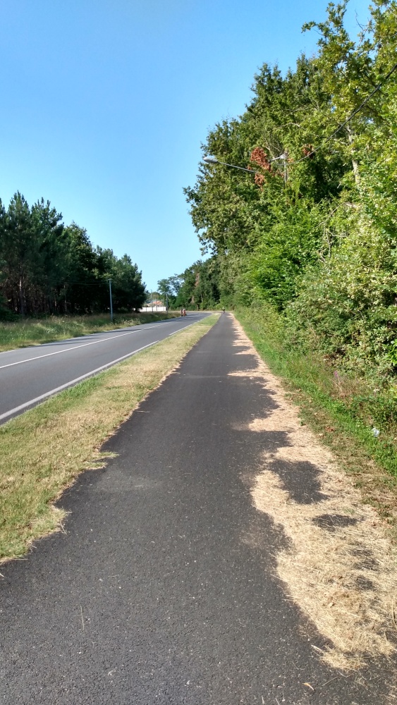 La piste cyclable de l'avenue de Gradignan, qui vous mènera à Léognan.