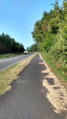 La piste cyclable de l'avenue de Gradignan, qui vous mènera à Léognan.