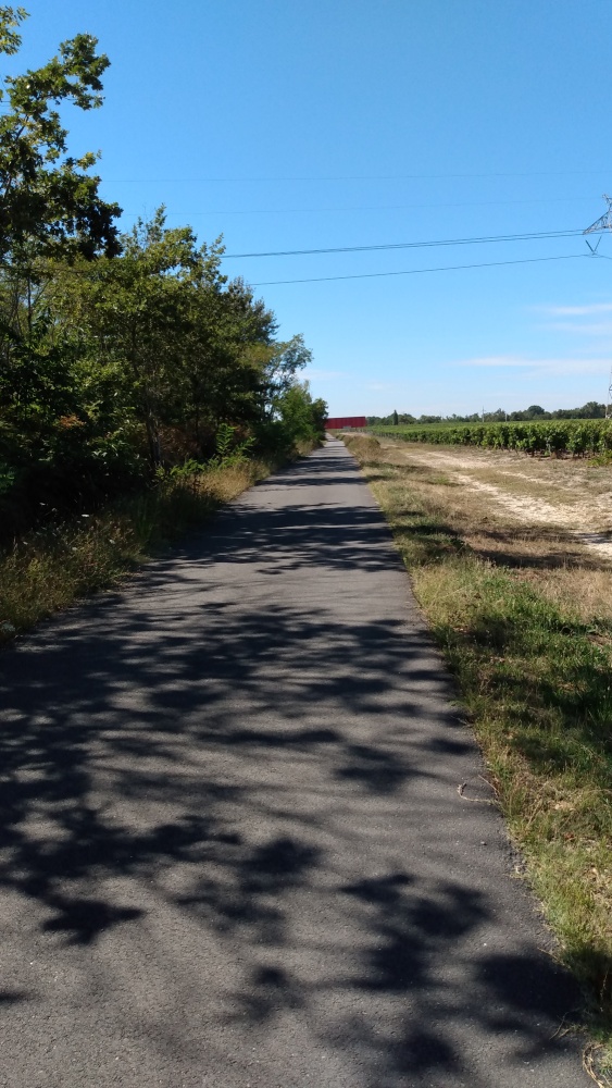 La voie cyclable accessible depuis la RD 109 à la sortie de Martillac, au kilomètre 25 de notre itinéraire.