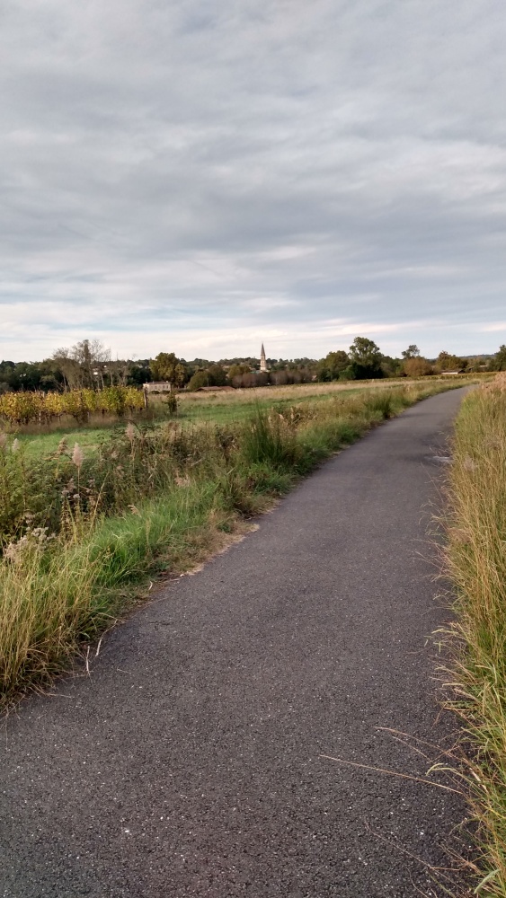 La piste cyclable de la "Scandibérique" près de La Brède.