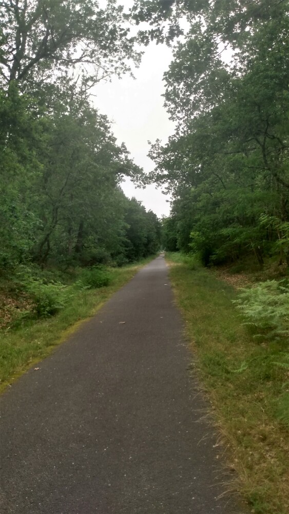 La piste cyclable RD 805 entre La Brède et Hostens.