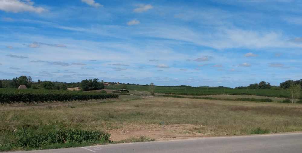 Un paysage du vignoble de l'Entre-deux-Mers, à la fin de l'été.