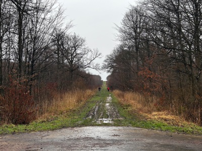Photo prise liée au parcours