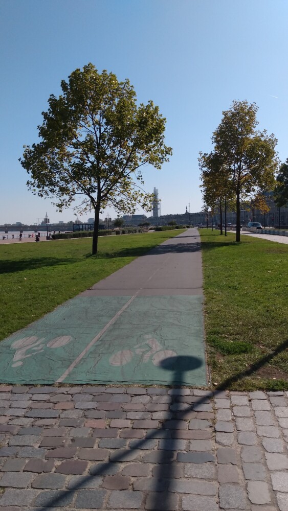 La piste cyclable longeant le Quai Richelieu.