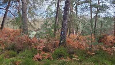 Maréchaux - D202 - 06mar2024