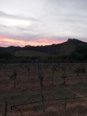 Enregistrement du 14/03/2024