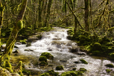 Photo prise liée au parcours