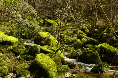 Photo prise liée au parcours