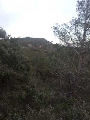 Enregistrement du 21/03/2024