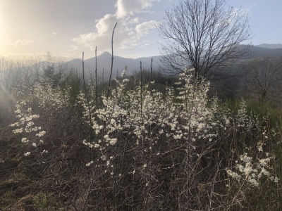 Photo prise liée au parcours
