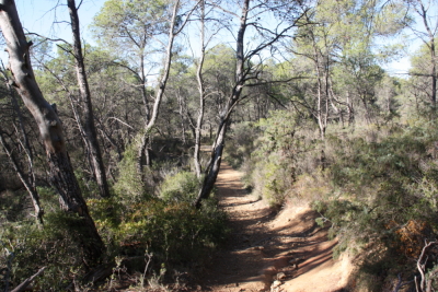 Photo prise liée au parcours
