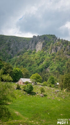 La Grande Boucle (iti. complet) - Orbey-Munster - Orbey - Photo 6