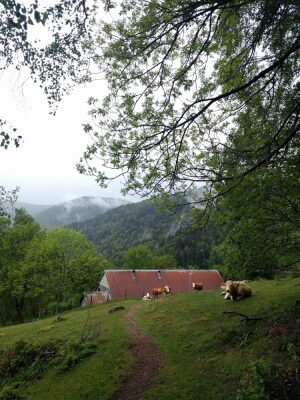 Photo prise liée au parcours