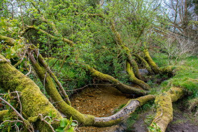 Photo prise liée au parcours