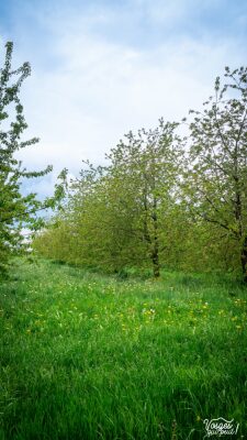Photo prise liée au parcours