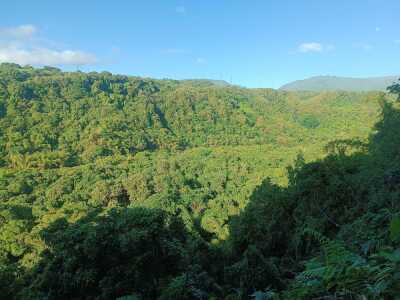 St Benoit Bethleem Abondance Paix Mer perso