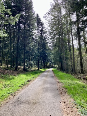 Photo prise liée au parcours