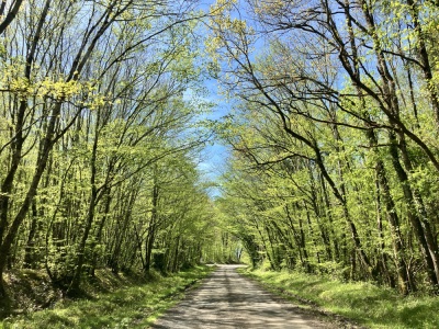Photo prise liée au parcours