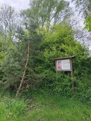 4: Site du Captain Boyle
