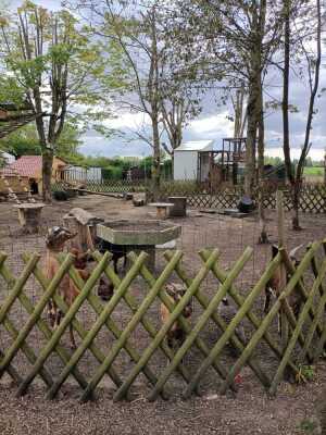 3: Greenie Camp