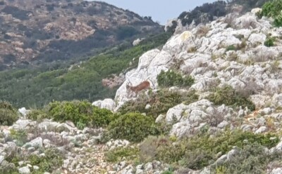 Photo prise liée au parcours