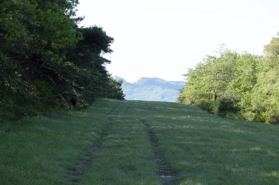 Photo prise liée au parcours