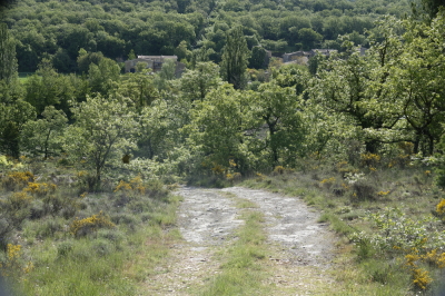Photo prise liée au parcours