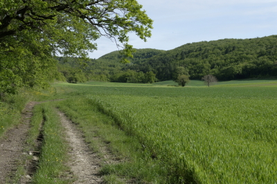 Photo prise liée au parcours