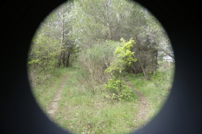 Photo prise liée au parcours
