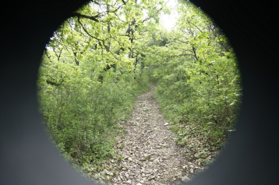 Photo prise liée au parcours