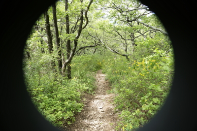 Photo prise liée au parcours