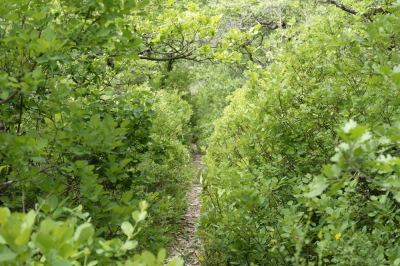 Photo prise liée au parcours