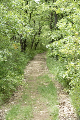 Photo prise liée au parcours