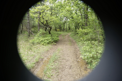 Photo prise liée au parcours