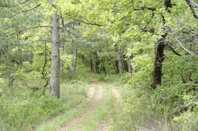 Photo prise liée au parcours